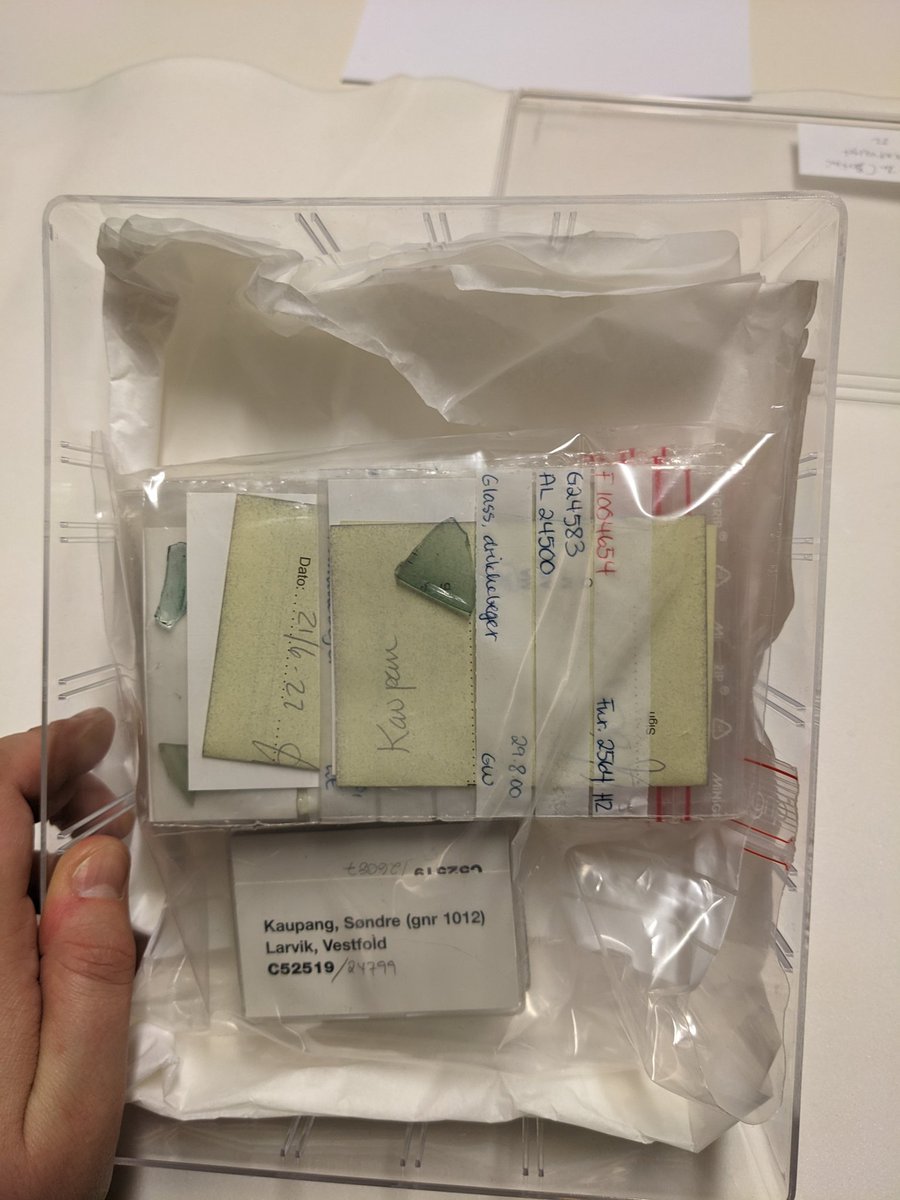 Dr Camilla Bertini tweet media