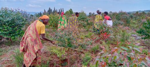 Province of the Anglican Church of Burundi tweet media