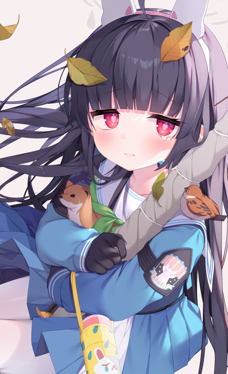 🍤えびまる (@e_bi_maru) / Twitter 🍤えびまる (@e_bi_maru) / Twitter