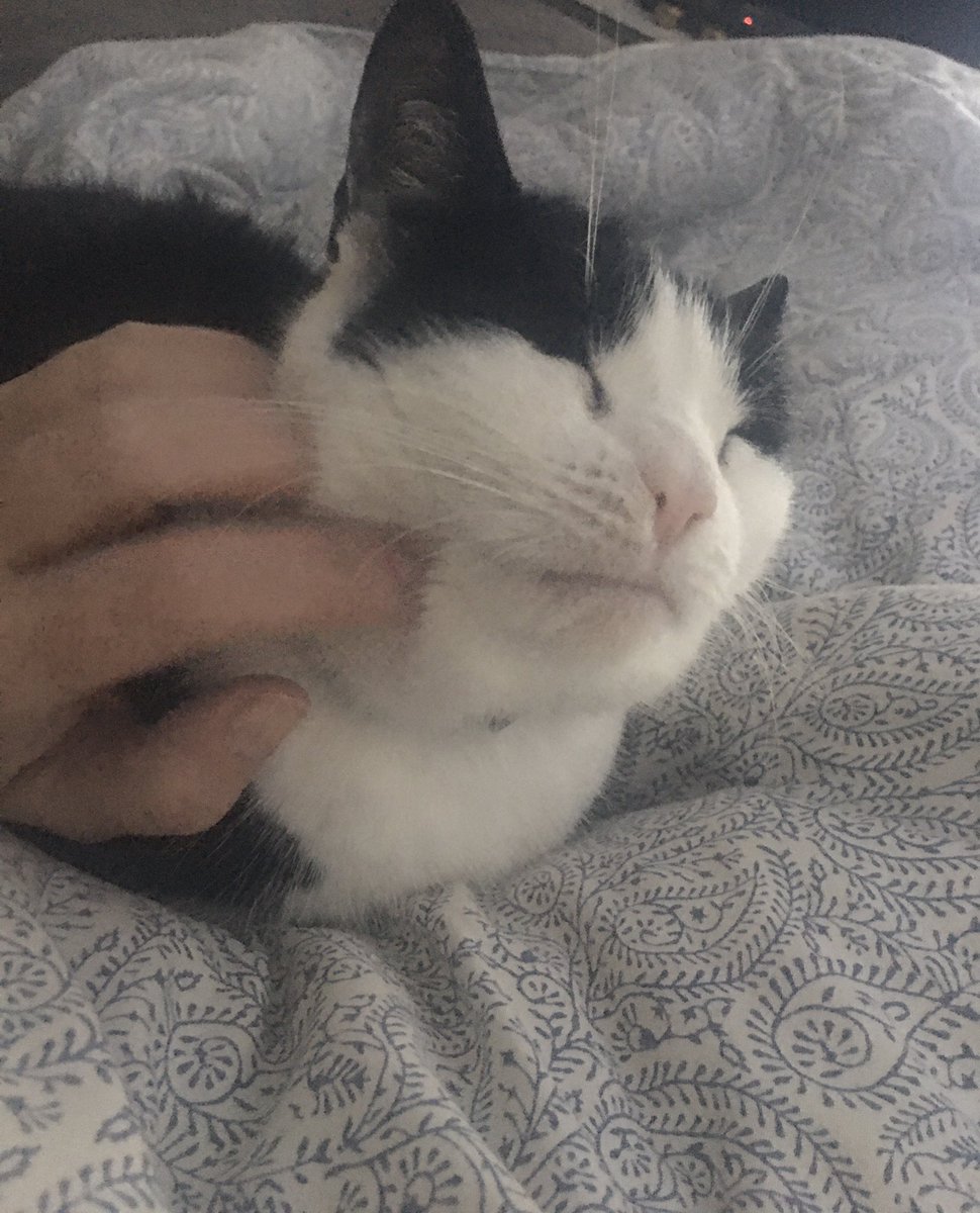 jannickep74's tweet photo. Morgonmys med Loppan ❤️
Kallt och snö i Höllviken idag ❄️⛄️
Ingen lust att stiga upp 🙈
#kämpa #trött #fryser #torsdag #fångadagen https://t.co/Wlk6OLkuEO