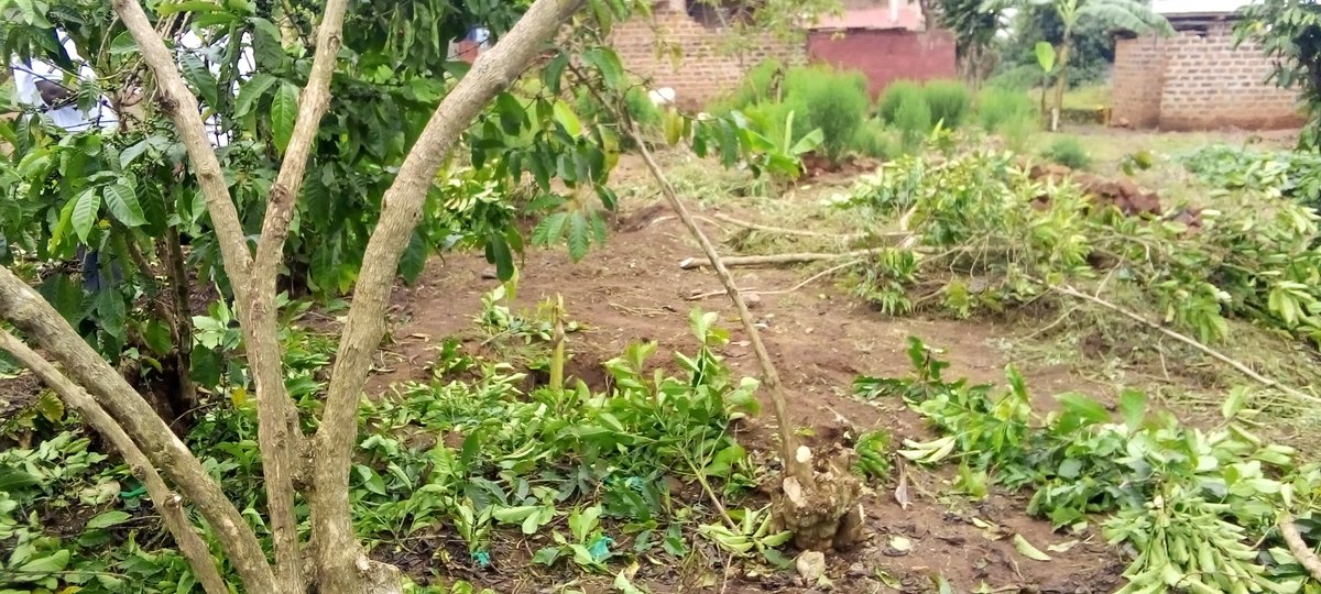 JKCC GENERAL SUPPLIES LTD tweet media