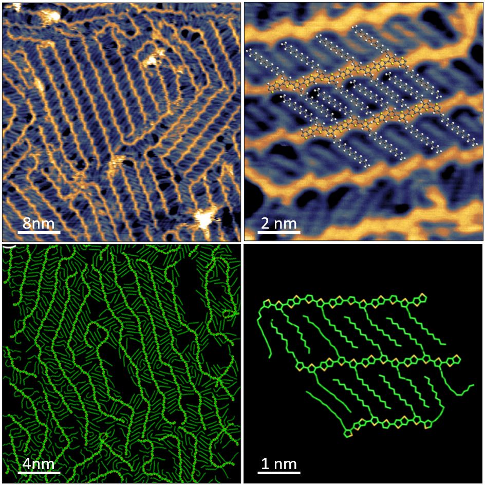 CostantiniGroup's tweet photo. Beautiful STM images by @Stefimoro1, @lmaperdigao, Dan Warr, @OscarDrury, Tom Moriarty; MD simulations by Nick Siemons, Drew Pearce and Jarvist Frost; molecules by @maxmoser29 and @rhallani. The first paper from @Stefimoro1’s brand new PhD thesis. More to follow, stay tuned! https://t.co/06kyaCwNnN