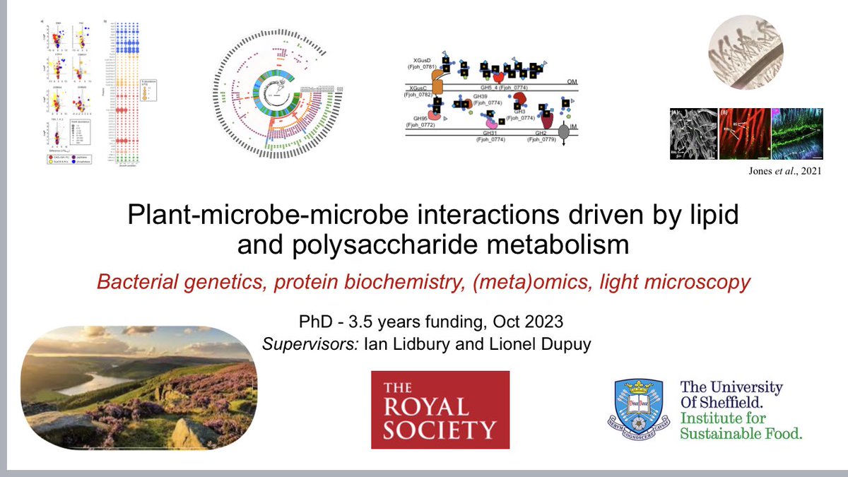 Ian Lidbury (@iandealidbury) on Twitter photo PhD opportunity - Oct2023. Fully funded 3 1/2 yr by <a href="/ScienceShef/">Science at Sheffield</a> <a href="/royalsociety/">The Royal Society</a> exciting opportunity for some frontiers microbiology! <a href="/PPS_UoS/">Plants, Photosynthesis and Soil</a> home students only PhD opportunity - Oct2023. Fully funded 3 1/2 yr by <a href="/ScienceShef/">Science at Sheffield</a> <a href="/royalsociety/">The Royal Society</a> exciting opportunity for some frontiers microbiology! <a href="/PPS_UoS/">Plants, Photosynthesis and Soil</a> home students only