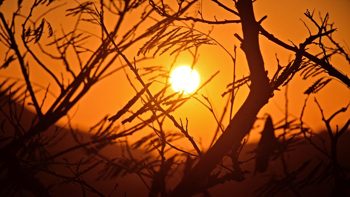 gerGnesdunK's tweet photo. 🌅 B R A N C H I N G O U T
📷 12.14.22
1⃣ Sunset thru branches.
2⃣ As seen on #HawaiiNewsNow weather.
3⃣ Another view with branches ...
4⃣ ... and without.
#⃣ #Hawaii #Ohu #Honolulu #Sunsets #HNN https://t.co/68xke67azv