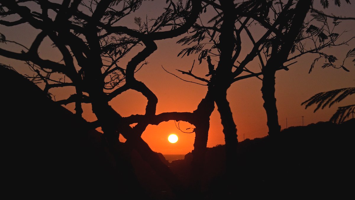 gerGnesdunK's tweet photo. 🌅 B R A N C H I N G O U T
📷 12.14.22
1⃣ Sunset thru branches.
2⃣ As seen on #HawaiiNewsNow weather.
3⃣ Another view with branches ...
4⃣ ... and without.
#⃣ #Hawaii #Ohu #Honolulu #Sunsets #HNN https://t.co/68xke67azv
