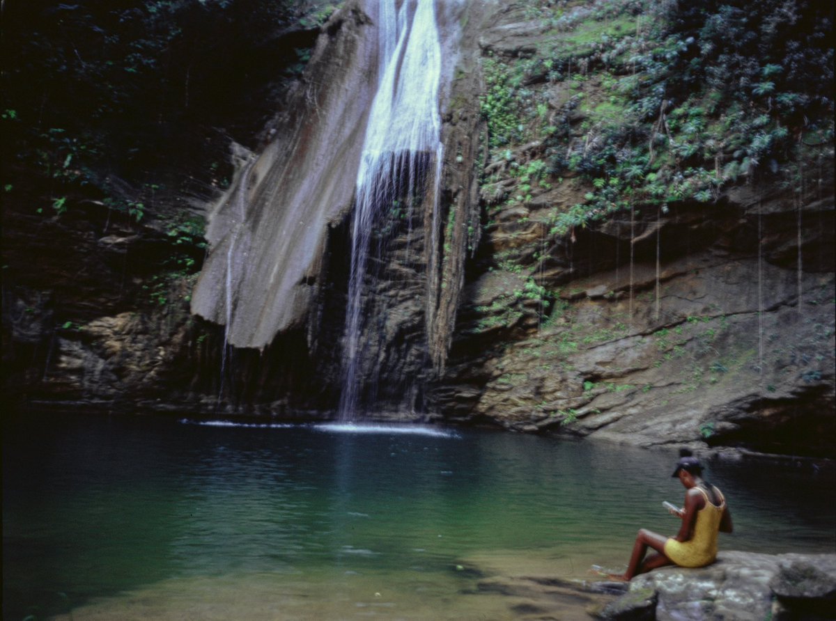 CalebFemi_'s tweet image. Jamaica thru my eyes.