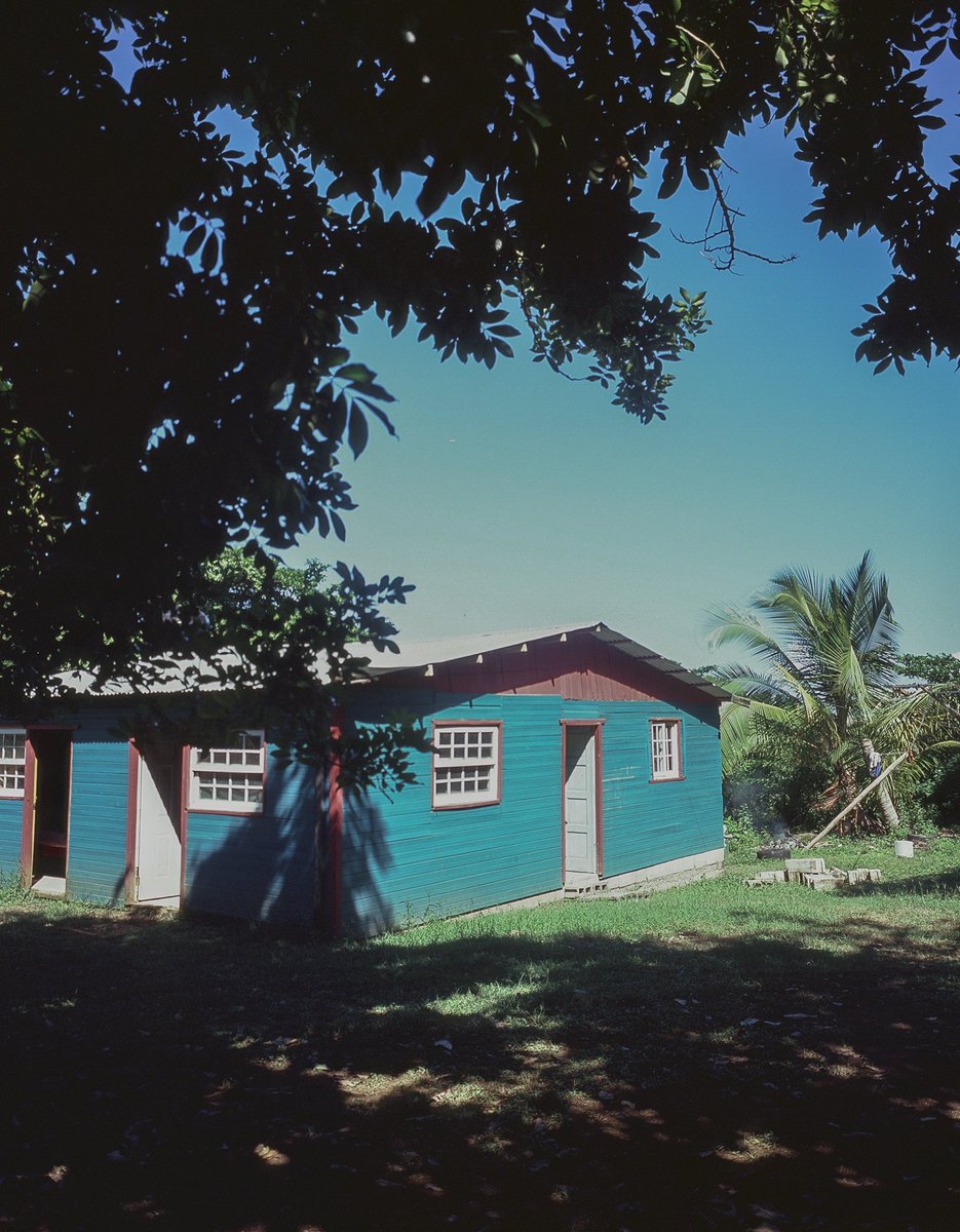 CalebFemi_'s tweet image. Jamaica thru my eyes.