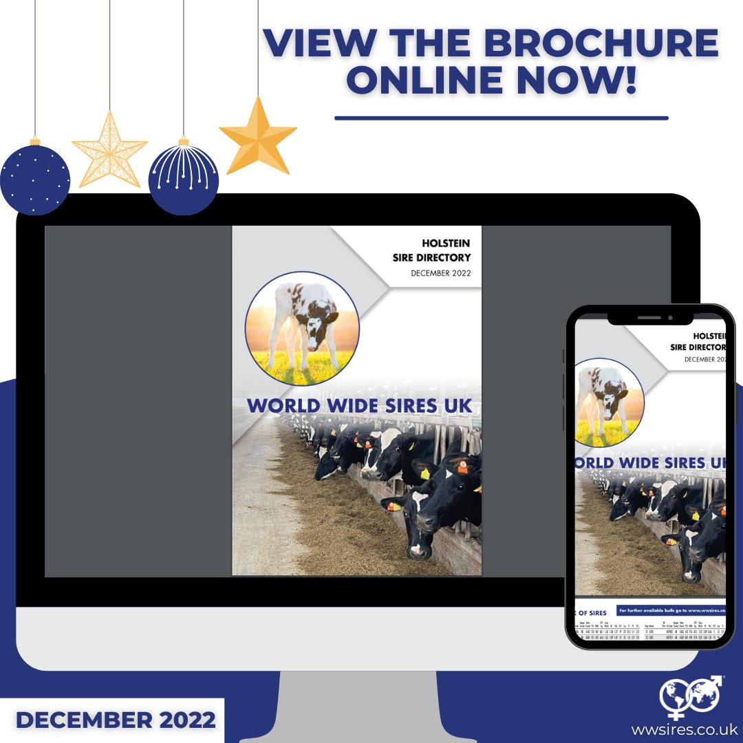 WWSires_UK's tweet photo. You can now download the December 2022 Holstein Sire Directory; https://t.co/GxDYUGNZIJ 

😍18 Proven Sires
🥳Newly Proven
🔥53 Genomic Sires!
✅No.1 PLI Genomic Sire EBERSOL
😎 12 NEW Genomic Sires
🤩WWS Beef Range 
https://t.co/nZ2J04My1b https://t.co/CoKeYJhV02