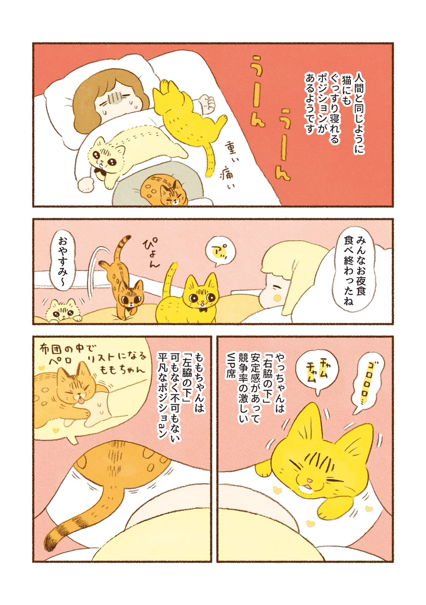 可愛すぎる･･･！愛猫たちの安眠ポジションについて描いた「猫漫画」が話題に！