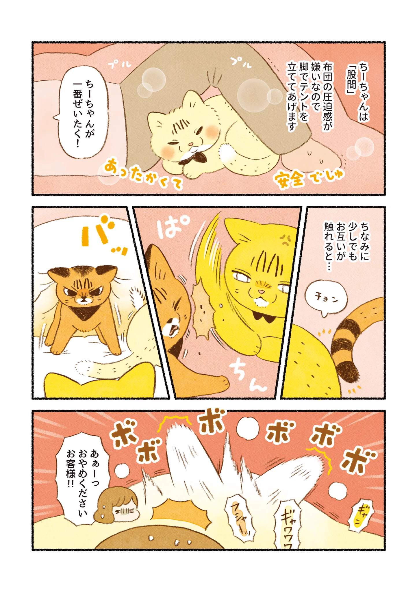 可愛すぎる･･･！愛猫たちの安眠ポジションについて描いた「猫漫画」が話題に！