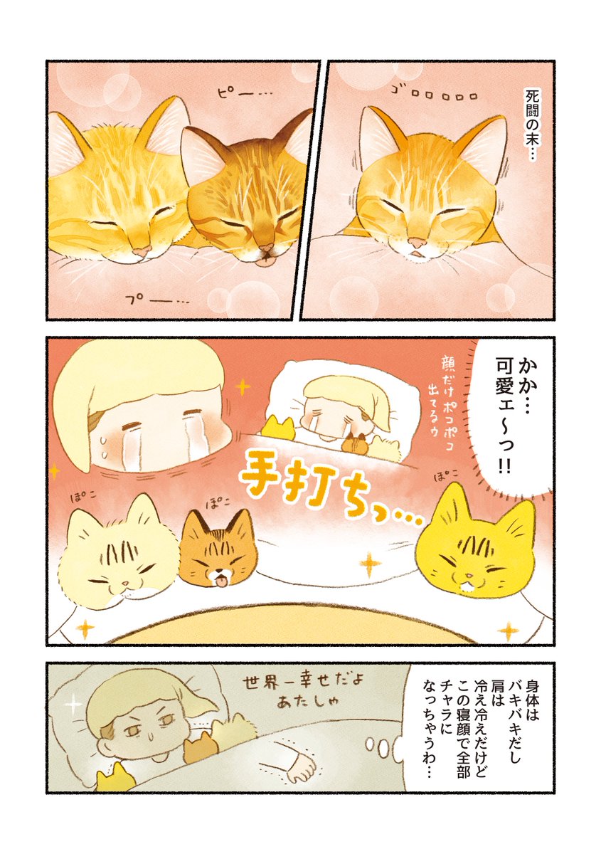 猫エッセイ
「安眠ポジション」 