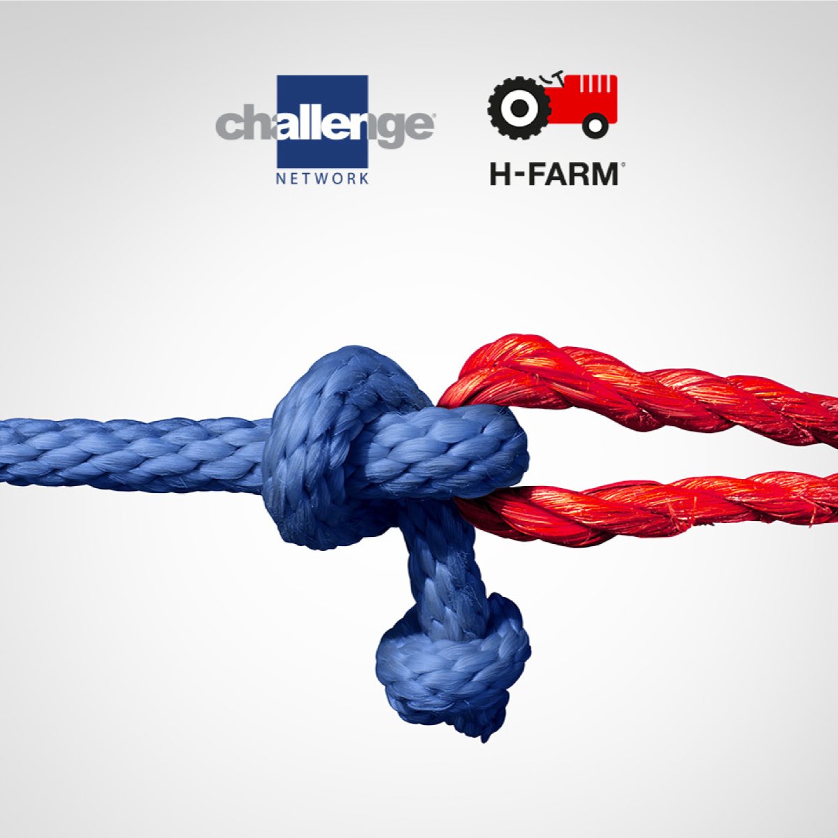 hfarmspa's tweet image. Assieme a @challengentwrk per far crescere le aziende e formare le professioni di domani. Siamo davvero orgogliosi di stringere questa importante partnership e siamo pronti a creare insieme un nuovo ecosistema della formazione. 

#HFARM #ChallengeNetwork 
#DigitalTransformation