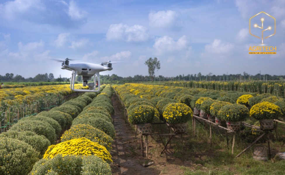 🥵農業涉及的風險比你想象的要多。當天氣突變，農作物受疾病影響，或全球性的流行病襲來時，農民們的勞作幾乎無法談及產量。
🔆Agritech正在全球範圍內實施農業人工智能技術解決方案，以幫助農民最大限度地減少風險，使其更易於管理。 

#Agritech