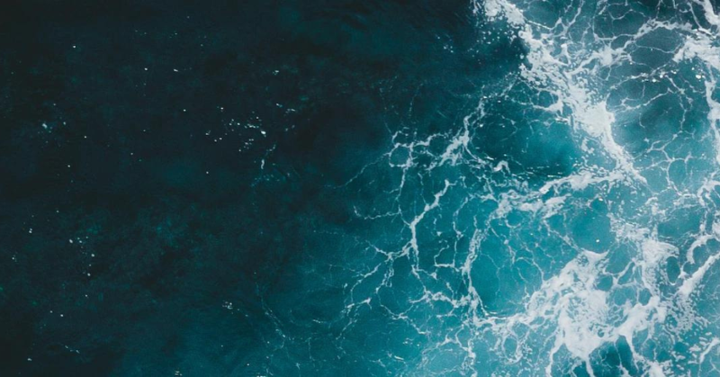 QuadrisePlc's tweet photo. The shipping sector must cut emissions by 45% (from 2010 levels) by 2030 and limit fossil fuel usage to meet the Paris 1.5°C trajectory, reports @ZeroCarbonShip.

#Quadrise’s bioMSAR™ technology offers a swift solution to help the shipping industry become more sustainable.