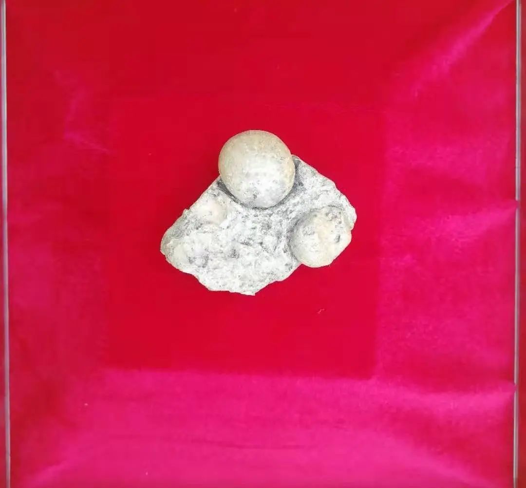 FriendiiTea's tweet photo. Tea seed fossils from 1.64 million years agon. 

#maker #greentea #Chinesetea #floweringtea #tea #herbaltea #healthytea #slimmingtea #teatime #tealife #2022 #Factory #Farmer #Friendiitea https://t.co/GCBcMkp4Sz