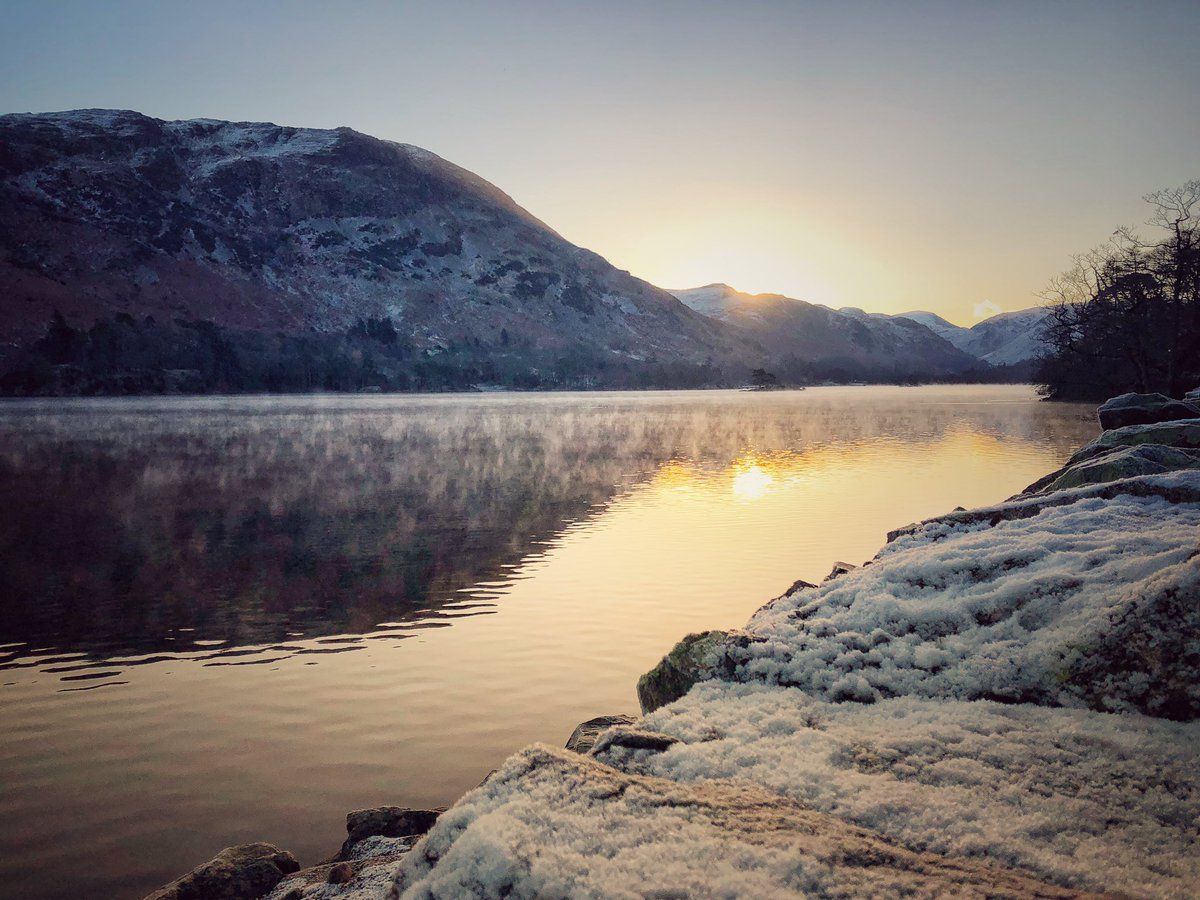 Catstycam.com tweet media