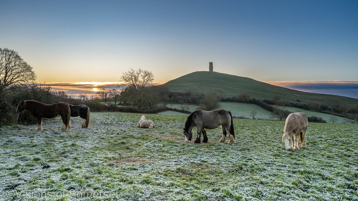 Michelle Cowbourne tweet media