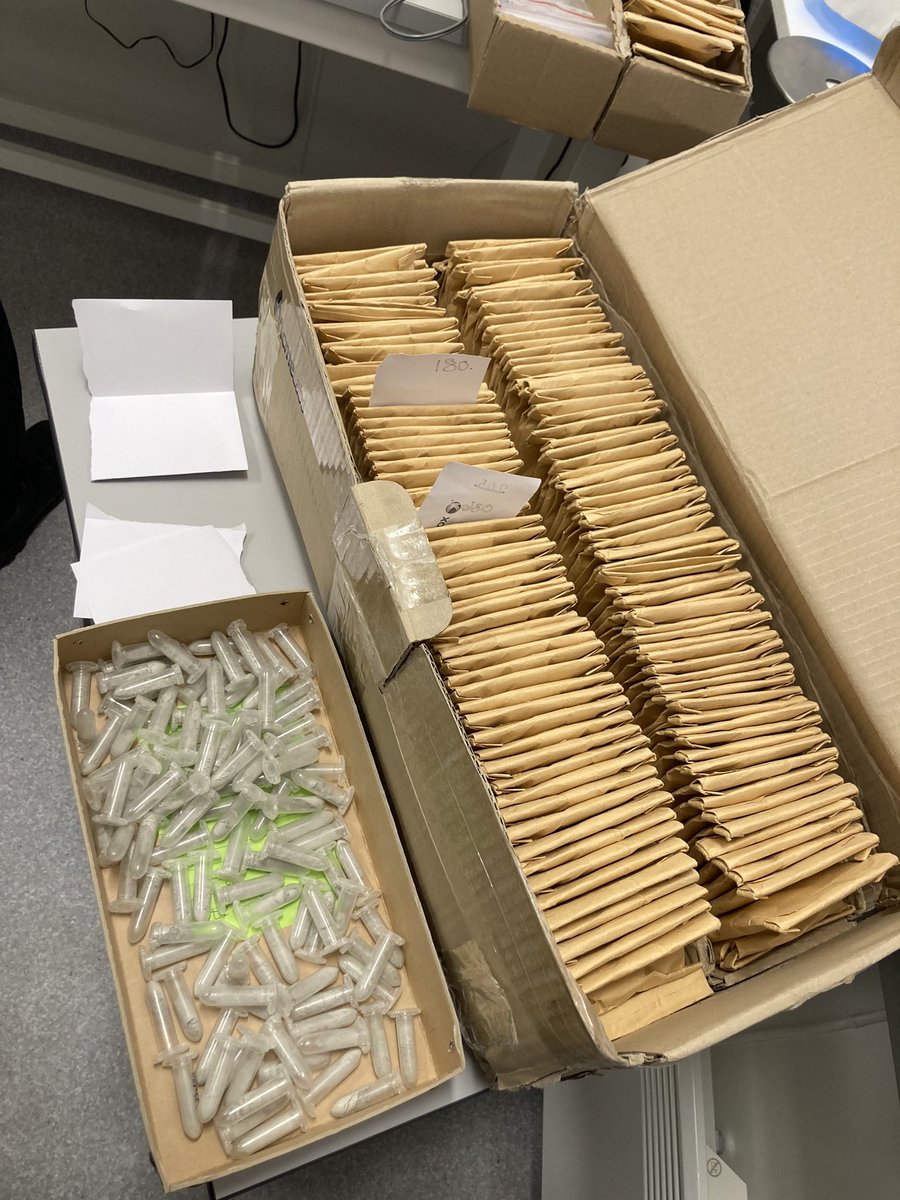 UrbangeoN's tweet photo. Det er mange steg til et sluttprodukt 😅 #geokjemisk #analyse av #pukk krever #standardprøver og #prøver til #reanalyse for kvalitet i #dataserien. Sammen med kollega Tor Erik Finne på @NGUgeology #lab 🤩. ❤️ #geologi, #seksjon for #samfunnsgeologi https://t.co/fpyeBnN3Ax