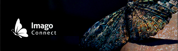 Ajmdunstan's tweet image. Secure, rapid, fully compliant and expert-led. Imago Connect is Dunstan Thomas&apos; Pensions Dashboards ISP solution. 

Find more below: dthomas.co.uk/content/imago/…

#PensionsDashboards #ISP #DataMatch