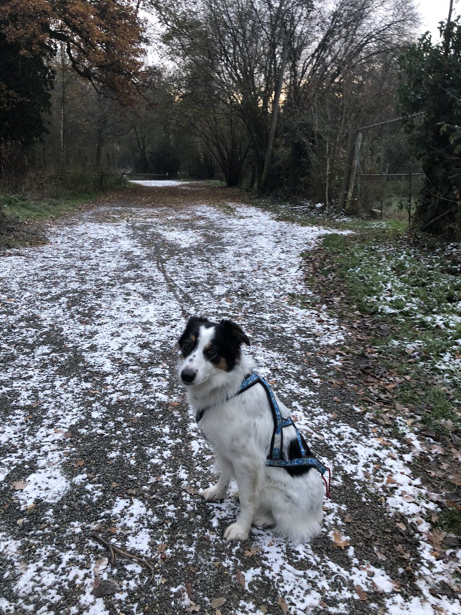 sevjeanneau's tweet photo. neige encore un peu présente ce matin #teambonnet #teamborder #FrAgTw https://t.co/voCbdtF0kY