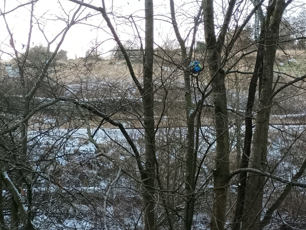 Stuck up a tree in Haworth @Lostfootballs