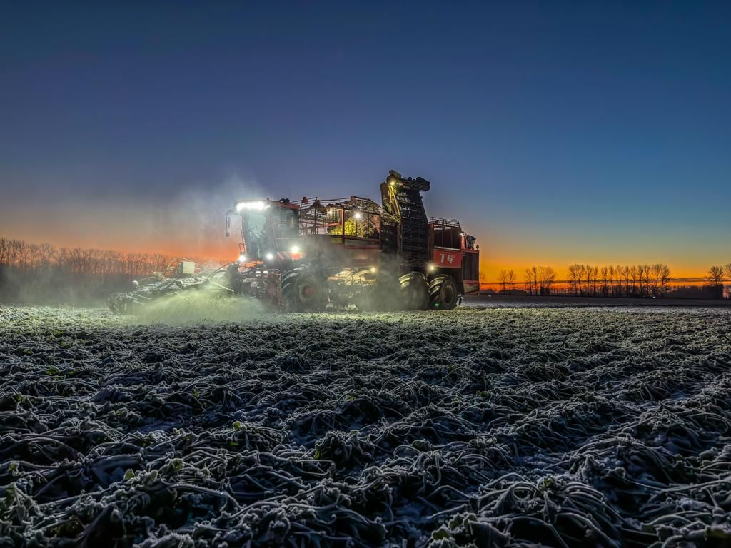 Breathtaking winter vista from <a href="/sjsmithfarms/">Simon Smith</a> #sugarbeet #beetbeautiful. Make sure to visit <a href="/BBRO_Beet/">BBRO_Beet</a> for their Advisory Bulletin 'Frost Special': x.com/BBRO_Beet/stat… #stayfrosty