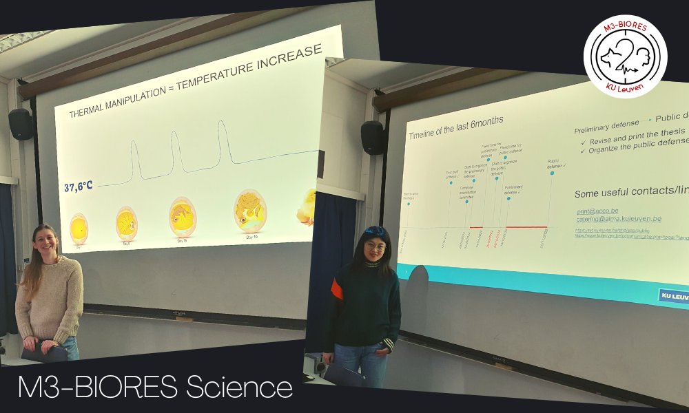Yesterday we got a sneak peek of @verlinden_sara PhD public defense🎓+ useful advice on PhD time management⏰from <a href="/Fiiiiish4/">Meiqing Wang</a>

#M3BIORESscience #phdlife