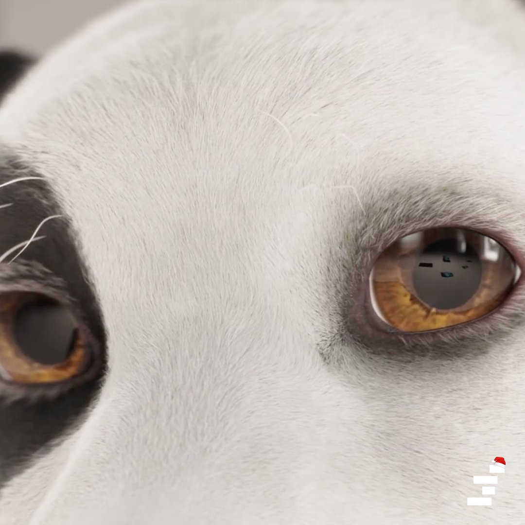 Stim Studio tweet media