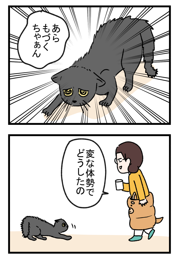 防寒具が猫をおかしくさせた。

#エッセイ漫画 
#漫画が読めるハッシュタグ 