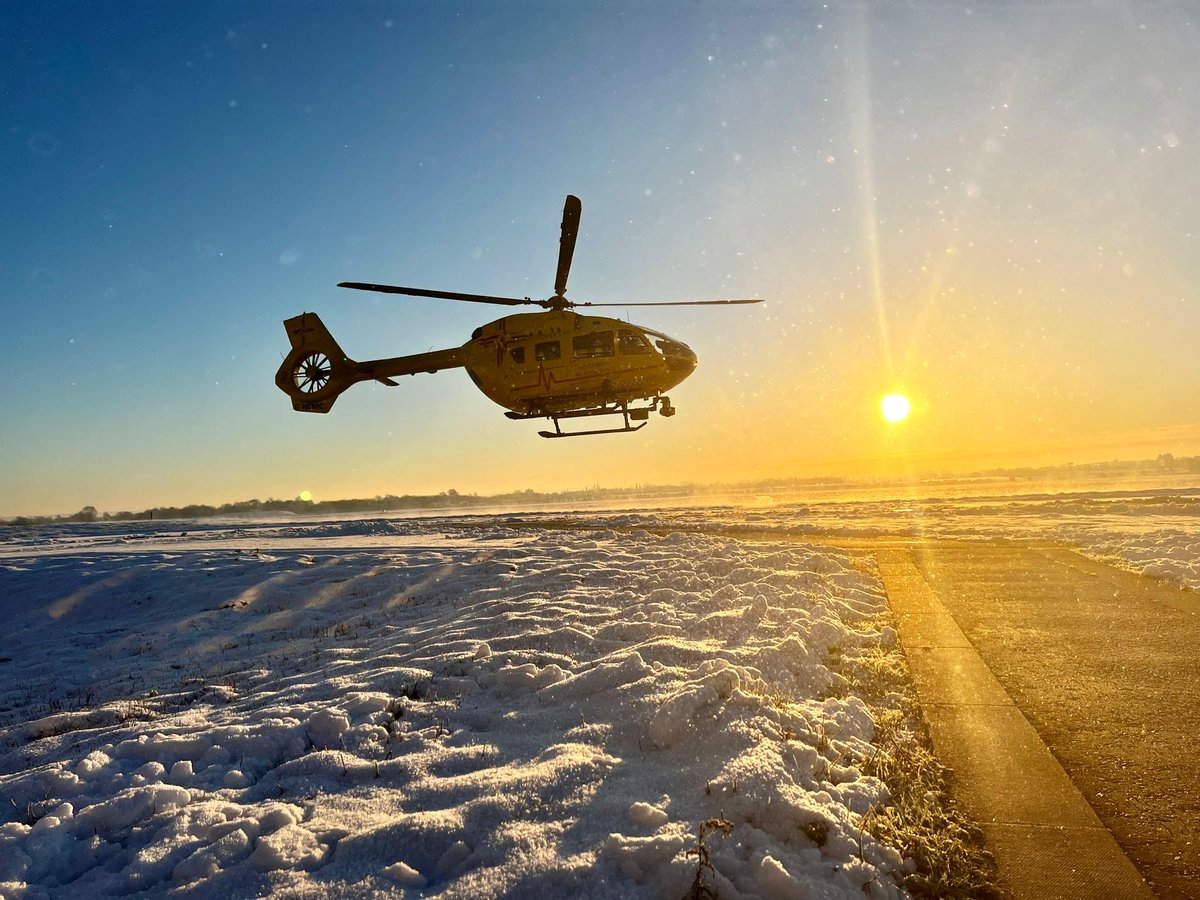 Angry Palmtree tweet media