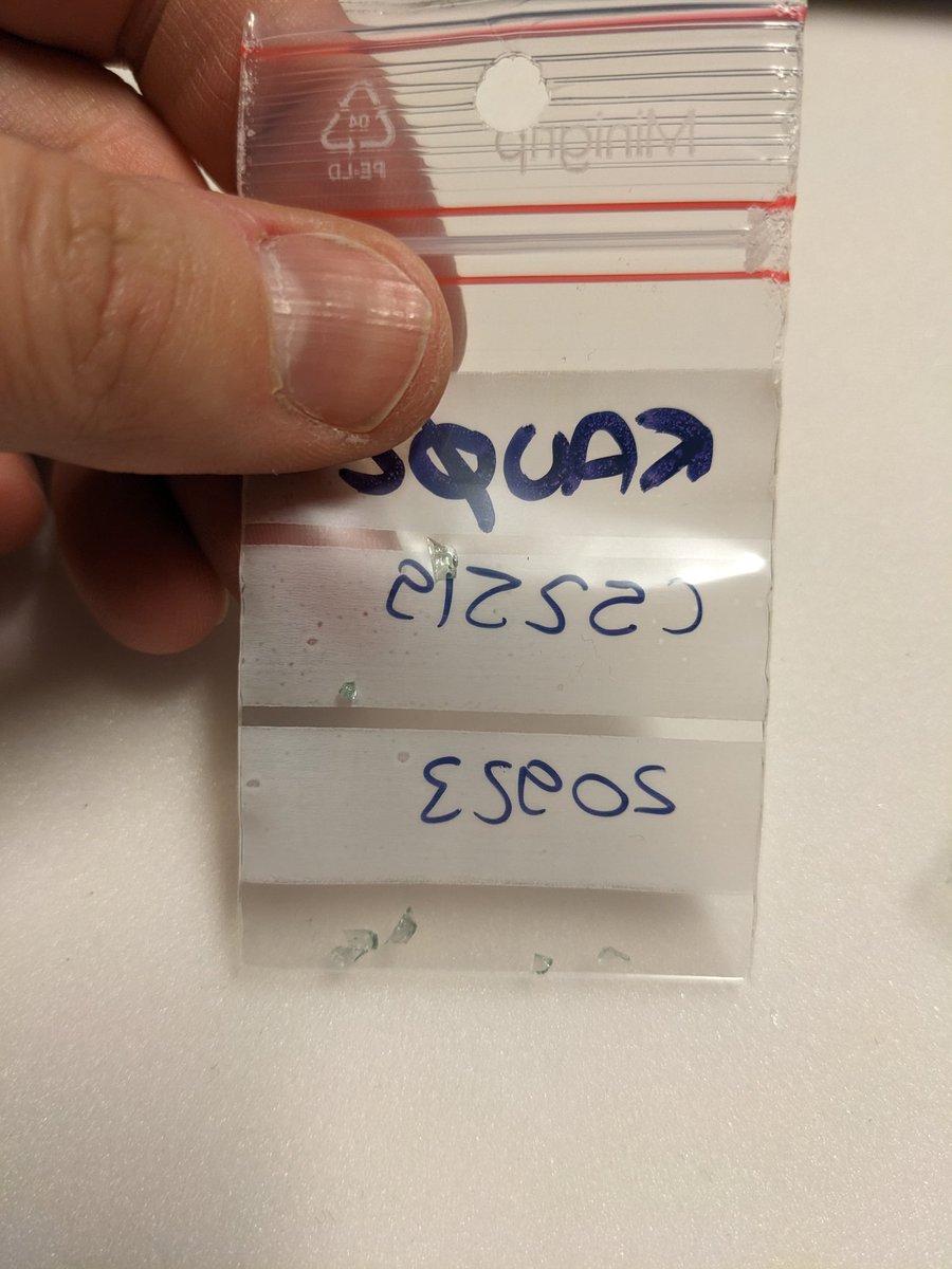 Dr Camilla Bertini tweet media