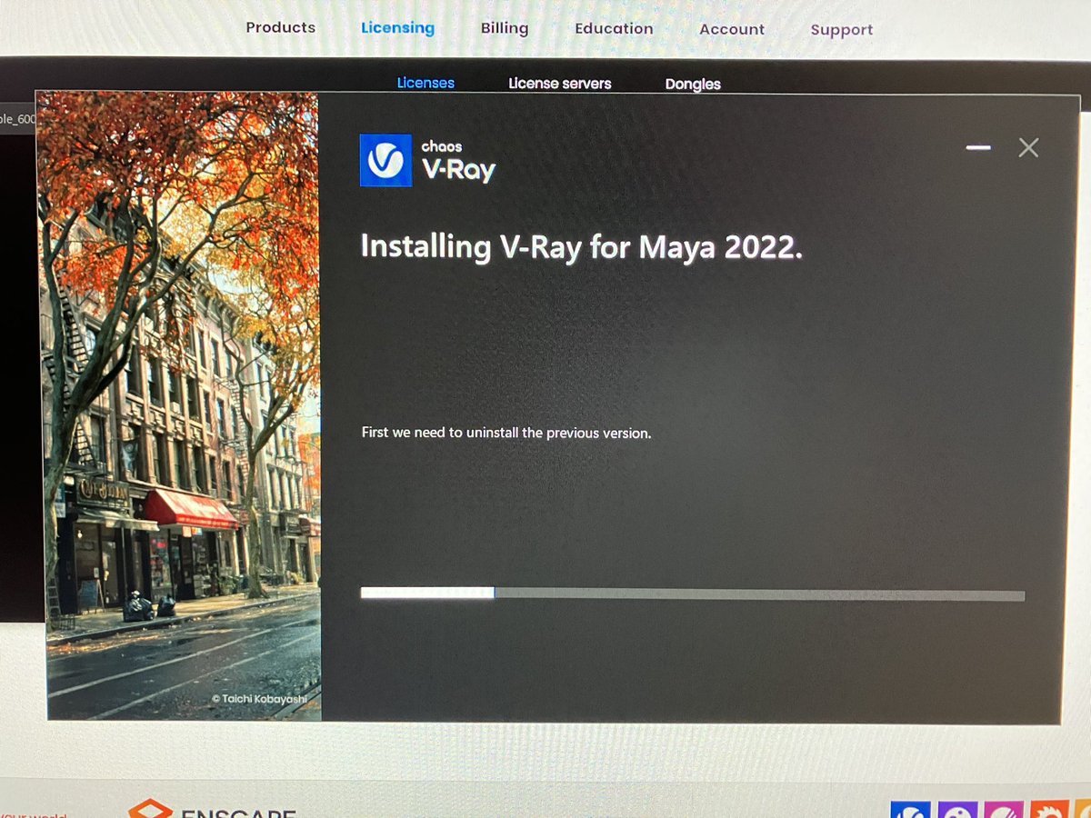 ‼️