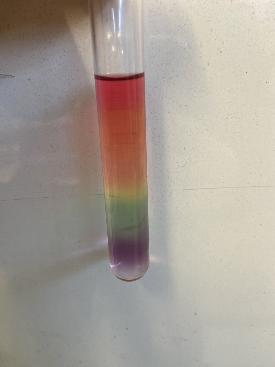 Year 7 and 8 <a href="/CastleNewnham/">Castle Newnham</a> have been taking part in a house competition within their science lessons to create a pH rainbow 🌈