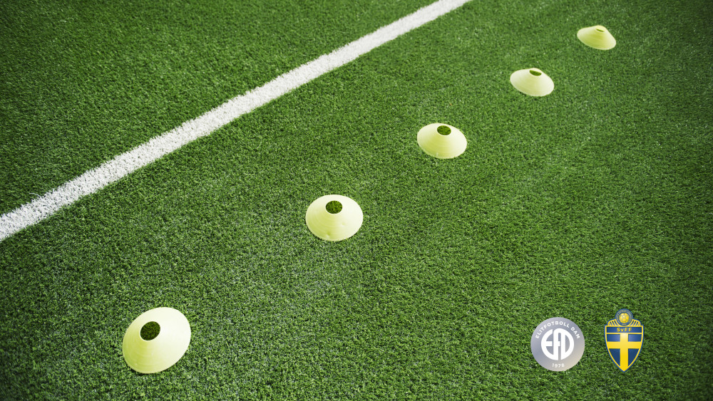 Elitfotboll Dam och Svenska Fotbollförbundet i gemensamma satsningen Elitprojekt Dam mynewsdesk.com/se/elitfotboll…