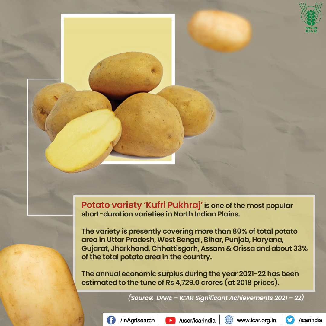 Indian Council of Agricultural Research. on Twitter: "Potato variety