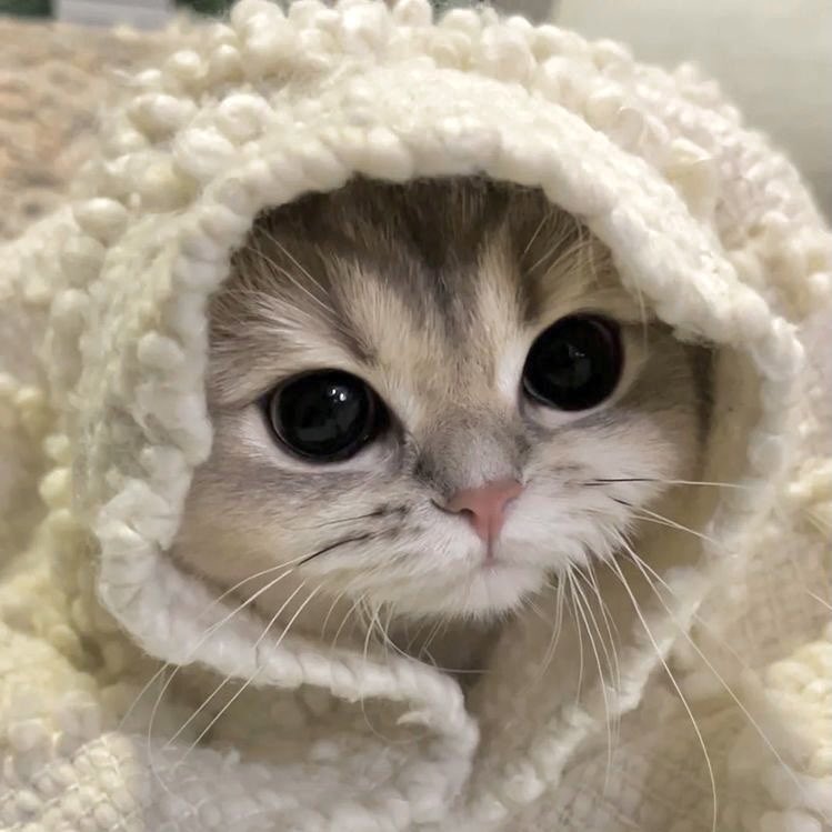 ⋆ (@tetispam) on Twitter photo 