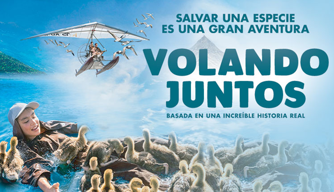 PirineosMFF's tweet photo. ¡El #PirineosMMF recala este fin de semana en #Zuera!
Con este evento, el festival finalizará su gira de presentación por el territorio nacional.
📅17 de diciembre 2022
⌚ 11:00h Película «Volando juntos»
⌚ 19:00h Selección cortos #PMFF.
📍Teatro Reina Sofía https://t.co/BYc1LYPO5F