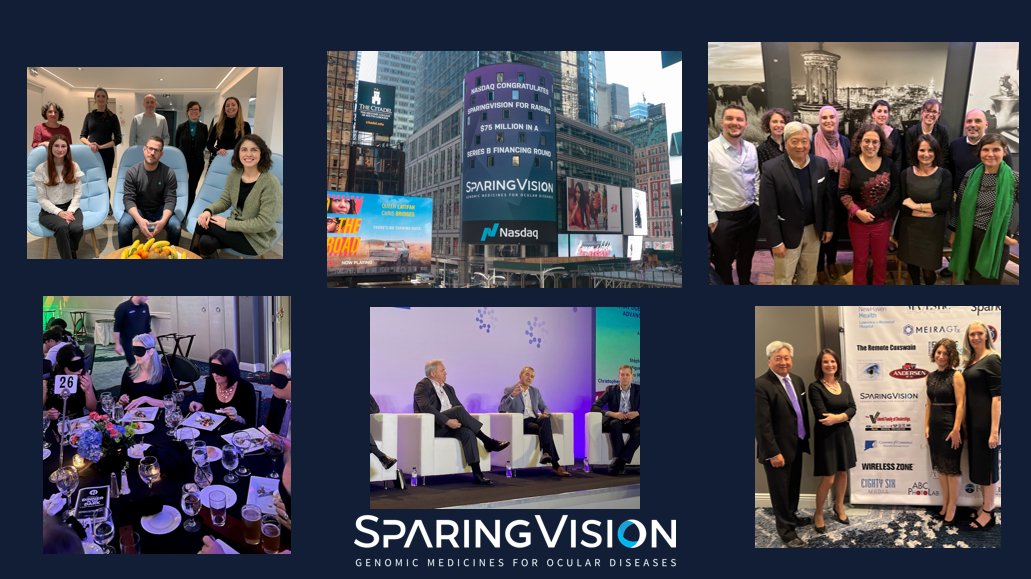 SparingVision's tweet photo. 2022 has been a fantastic year of growth for #SparingVision – announcing #IND clearance, raising €75 million in #SeriesB, and presenting our science at many conferences all around the world. Discover more about us here: https://t.co/lRrnKpi7tB https://t.co/UUlUVKZmIu