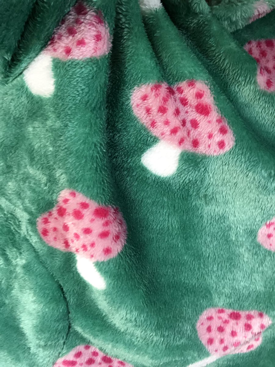 GingerGreenie's tweet photo. #fungi fungi birthday present. 😍🍄 https://t.co/e1BjBThvpX
