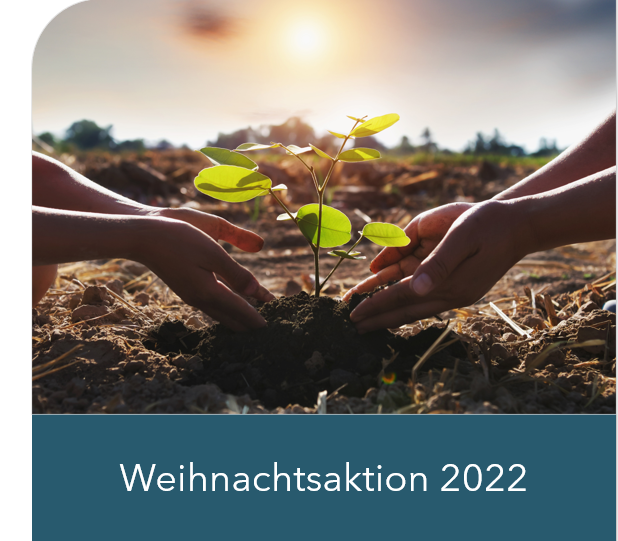 pakadoo_de's tweet photo. 🌳 "Bäume statt Karten" - #pakadoo Weihnachtsaktion 2022. Wir verzichten wir auf den Druck und Versand von Weihnachtskarten und finanzieren eine nachhaltige Aktion, die uns am Herzen liegt:  als Klimaschutzpartner von #plantmytree pflanzen wir 100 Bäume in Eschbronn bei Rottweil. https://t.co/g6EfziJrLH