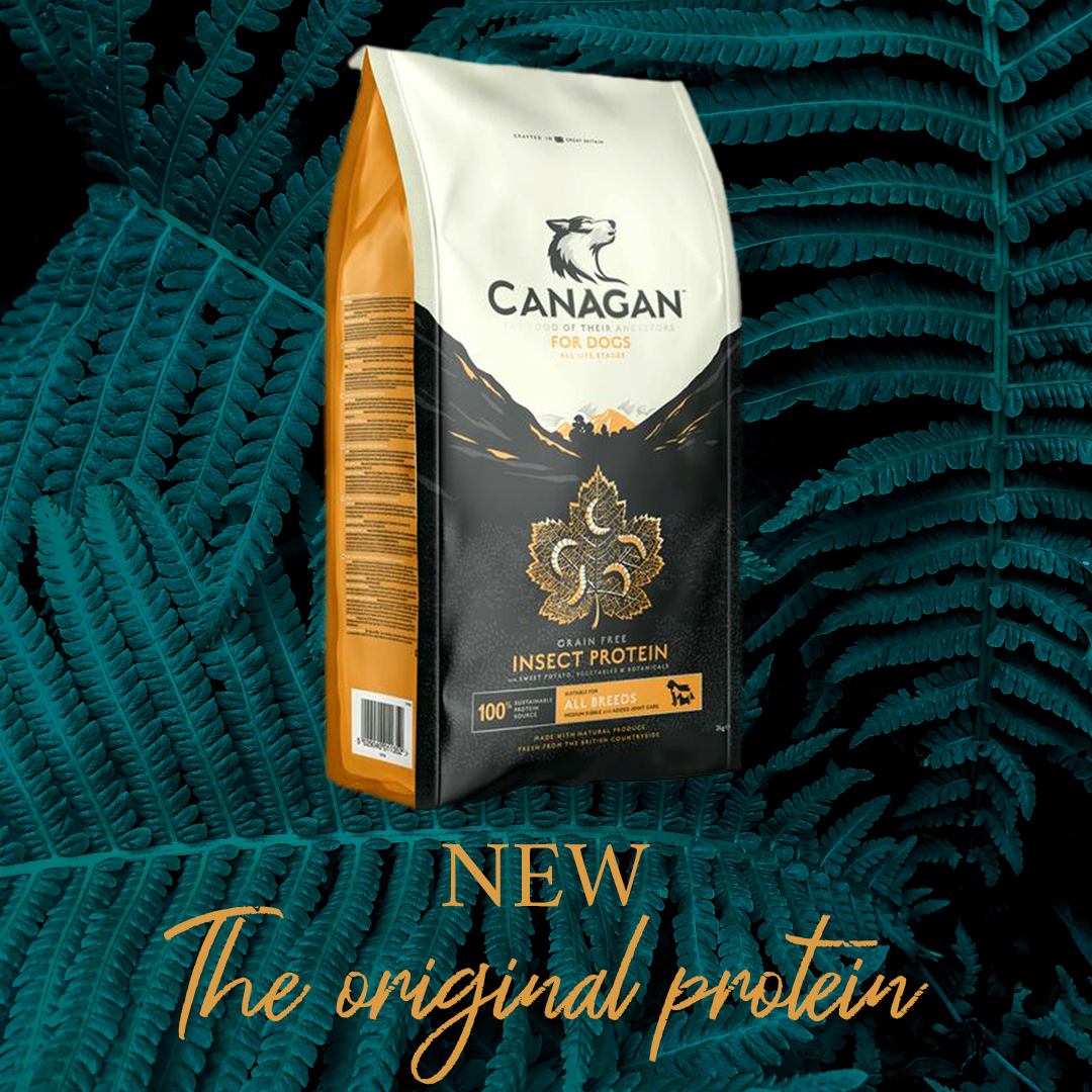 INTRODUCTORY OFFER 20% OFF!

A highly-digestible protein source, our insects are especially good for dogs with allergies and their antioxidant and anti-inflammatory properties are beneficial for all dogs.

jurassicbark-online.co.uk/products/canag…

#petsupplies #dogfood #dogsoftwitter #ecofriendly