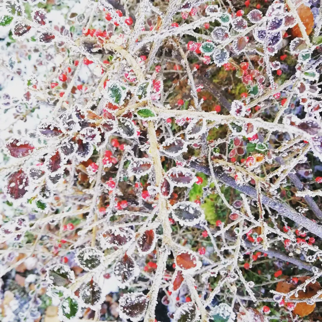 Awydd gorffwys yn flwyddyn newydd? Allwn ni ddim addo golygfeydd fel ni'n mwynhau ar hyn o bryd, ond gallwn addo croeso cynnes. Rhai wythnosau gwag yn Ion/ Chwef/Mawrth yn llety hunan arlwyol Noddfa a Bryn Uchaf. Ambell wythnos wag hefyd yn y gwanwyn os gysylltwch chi'n fuan.