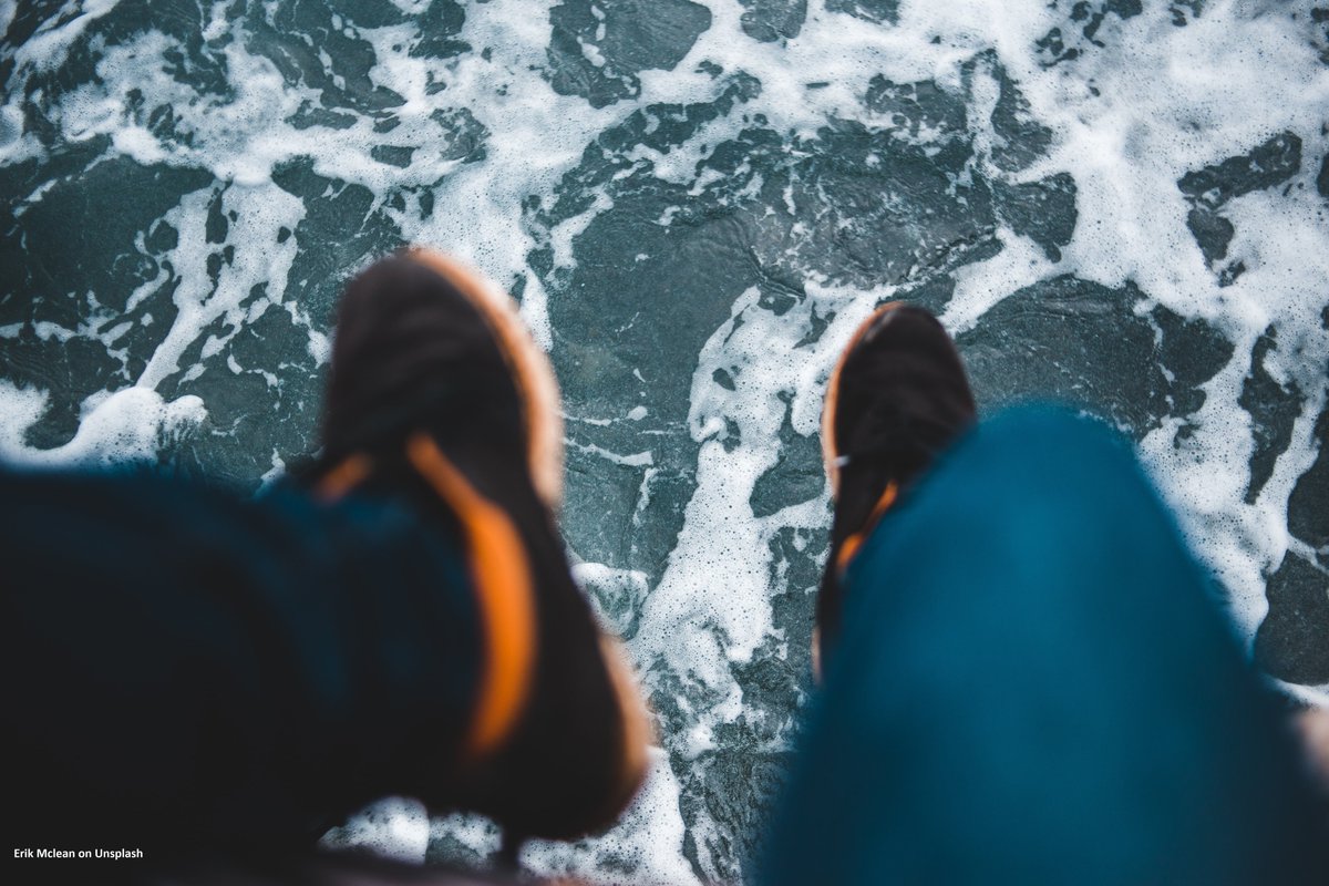 SeaScotland tweet media