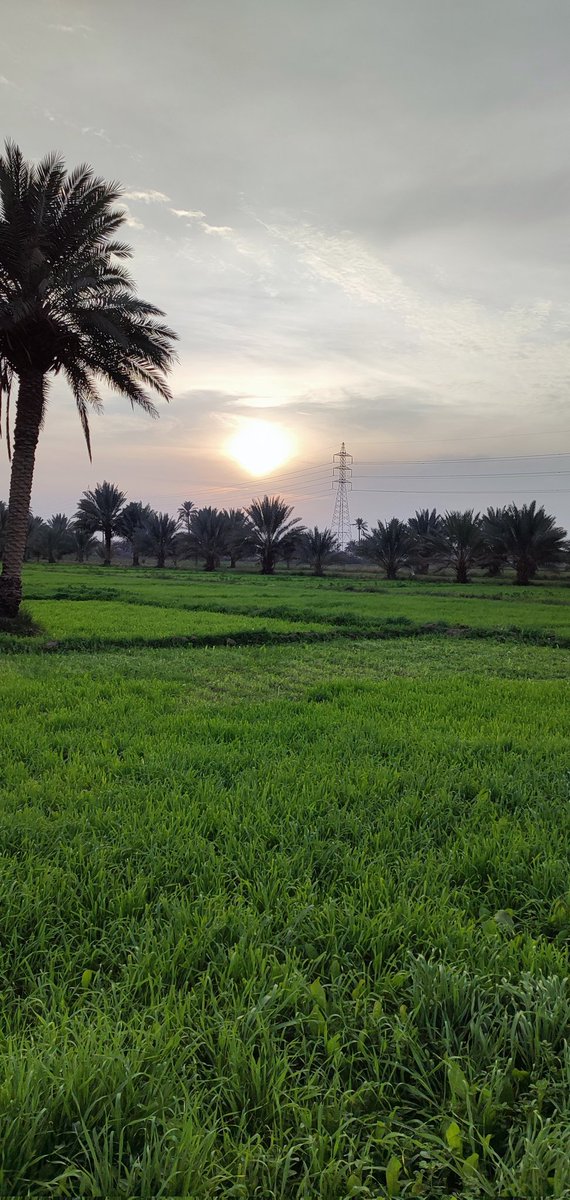 الغيم من يمطر ندى 
يحجي سوالف دافيه
الروح من تذكر ولف 
تلعب لعب بالعافيه
مساء الورد