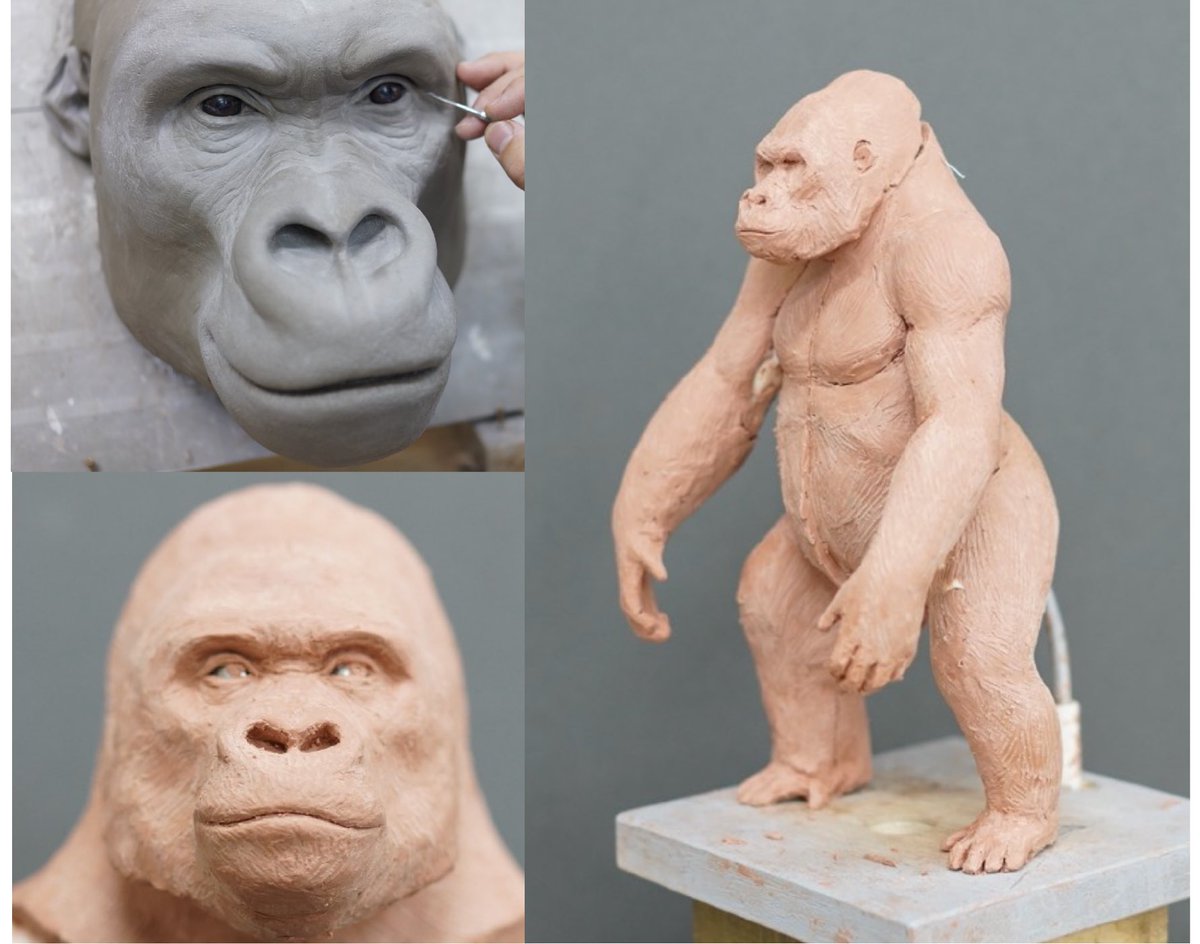 限りなくゴリラに近い謎の生命体をGORILLA HALL の店長として現在生殖