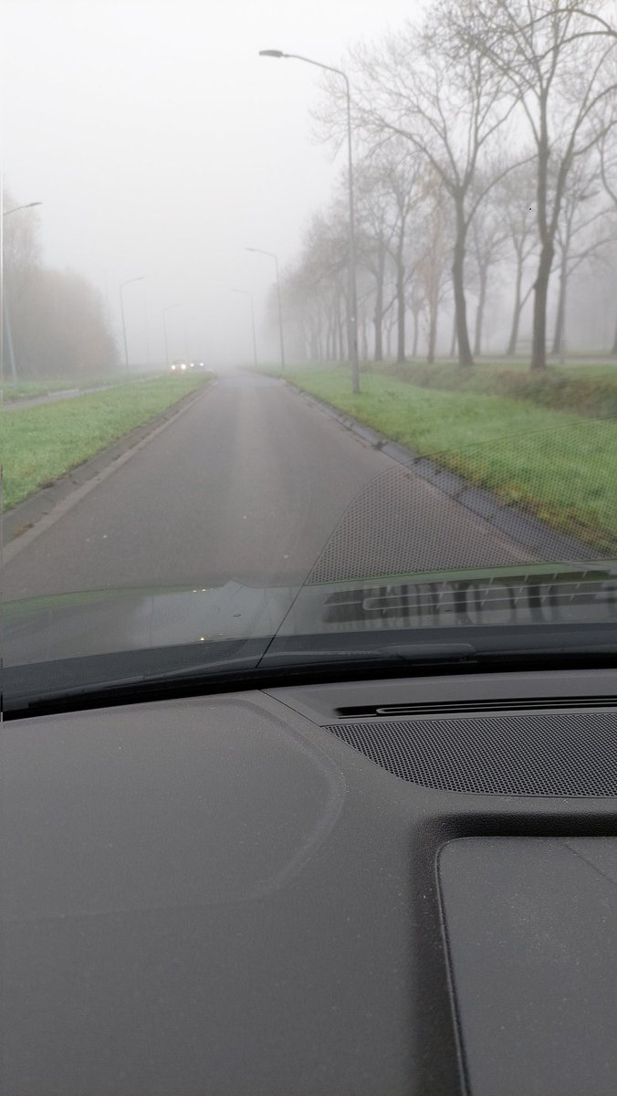 Pagi yang indah....matahari bersinar diatas pohon berdaun rindang🤩 
#rosmalen
#pagiku