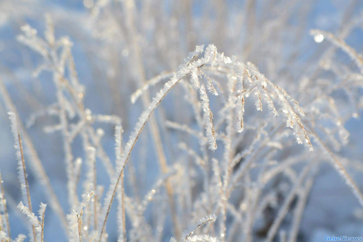 112Nijmegen's tweet photo. Vanaf volgende week flink warmer en geen witte kerst - https://t.co/EK2C5nc03E https://t.co/QNG80dx9Oj
