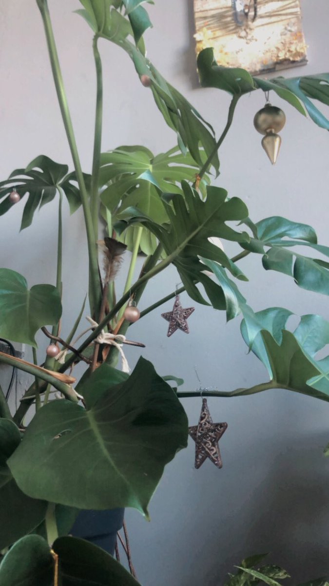 April_Slumbers's tweet image. This is the most Millenial thing I think I’ve ever done