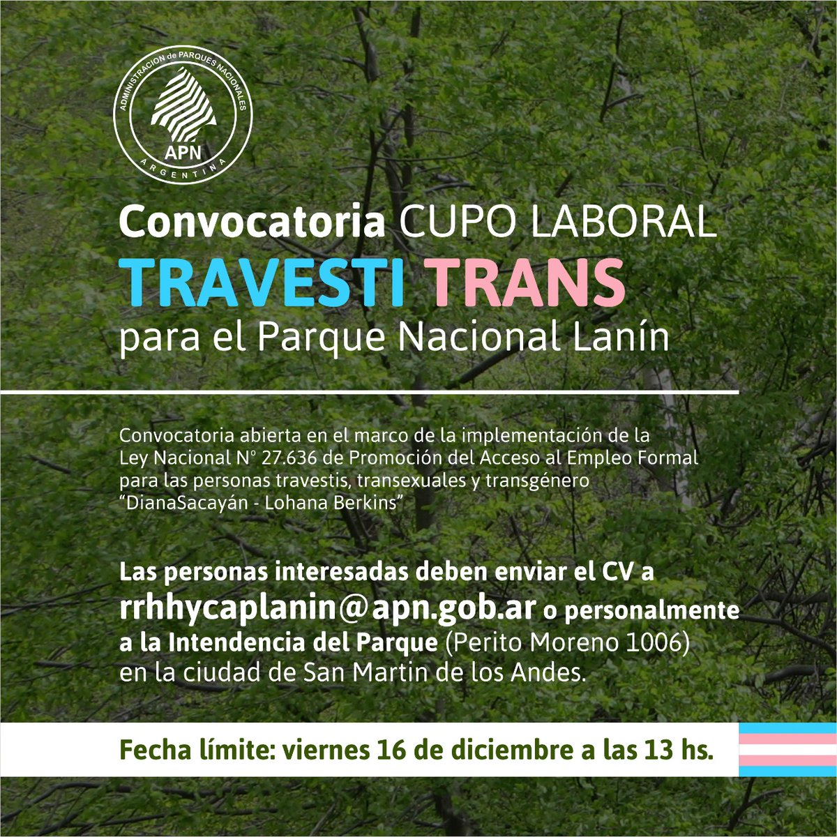 #AHORA en #SensaciónTérmica Sabrina Laudadio, parte de la Secretaria de Género de Parque Nacional Lanín, para hablar sobre la convocatoria de cupo laboral travesti trans para el Parque.