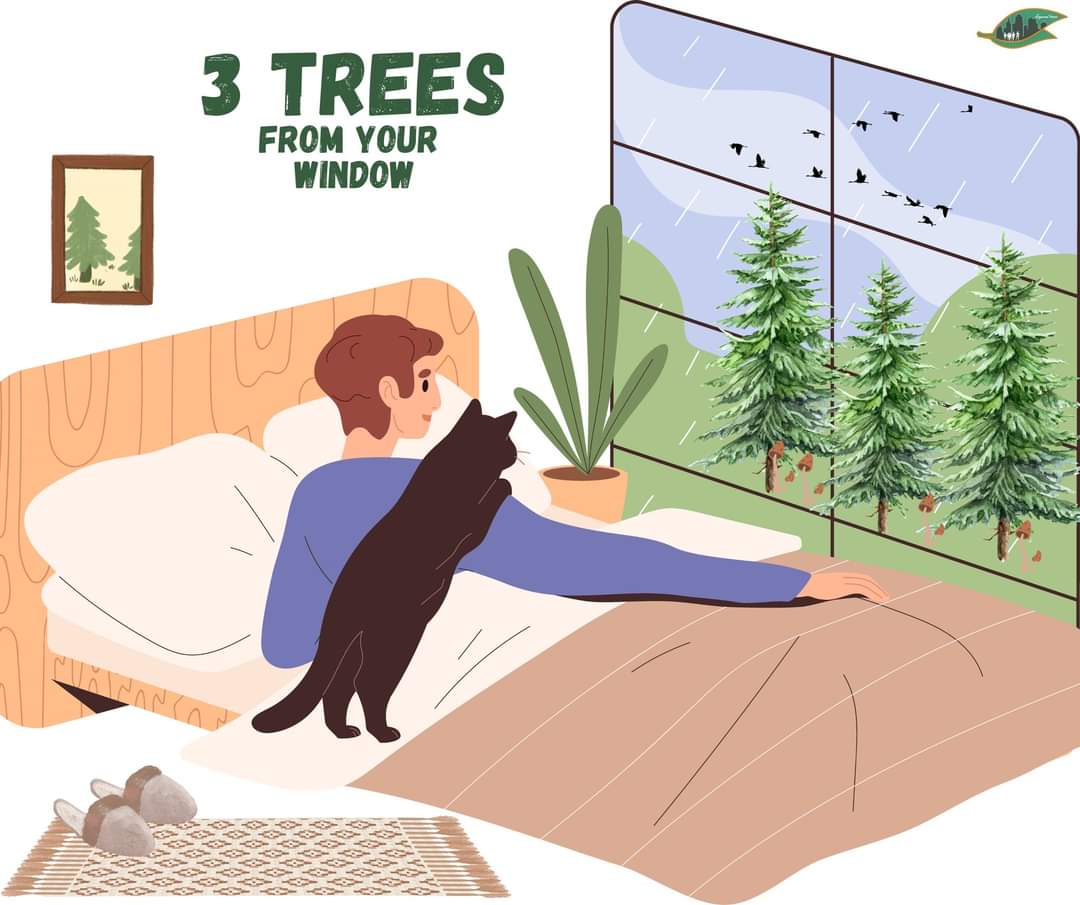 BeyondTreesNet's tweet photo. 𝐏𝐫𝐨𝐦𝐨𝐭𝐢𝐧𝐠 𝐡𝐞𝐚𝐥𝐭𝐡 𝐚𝐧𝐝 𝐰𝐞𝐥𝐥𝐛𝐞𝐢𝐧𝐠 𝐭𝐡𝐫𝐨𝐮𝐠𝐡 𝐮𝐫𝐛𝐚𝐧 𝐟𝐨𝐫𝐞𝐬𝐭𝐬 – 𝐈𝐧𝐭𝐫𝐨𝐝𝐮𝐜𝐢𝐧𝐠 𝐭𝐡𝐞 𝟑-𝟑𝟎-𝟑𝟎𝟎 𝐫𝐮𝐥𝐞

3-30-300 rule focuses on the crucial contributions of urban forests and other urban nature to our health and wellbeing. https://t.co/W5k5ClG4zj